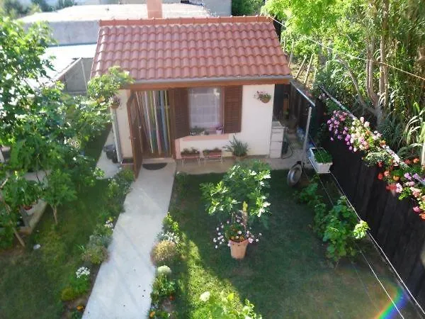 Apartment In Privlaka With Sea View, Terrace, Air Conditioning, Wifi 3591-1